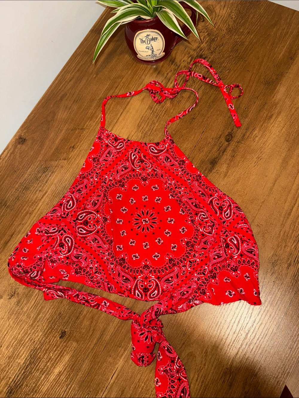 Forever 21 Red Paisley Halter Tie Crop Top